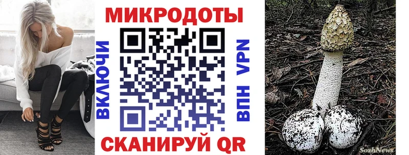 Псилоцибиновые грибы GOLDEN TEACHER  купить наркотик  hydra онион  Хилок 